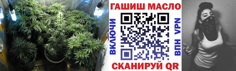 Дистиллят ТГК Wax  Купить закладки  Щёлкино 