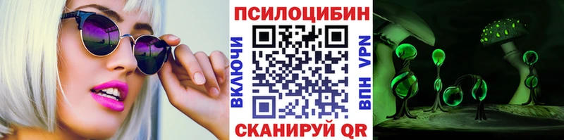 Купить закладки  Щёлкино  Галлюциногенные грибы Psilocybe 